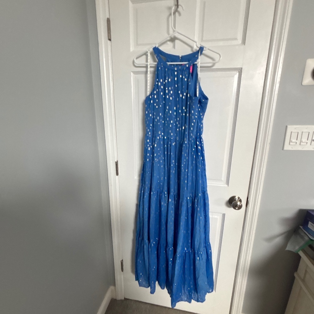 Gorgeous Blue Gold Maxi dress